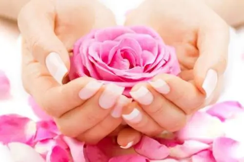Gepflegte Hände mit French-Nägeln halten eine Rose