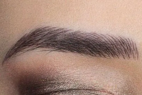 Augenbraue nach Microblading